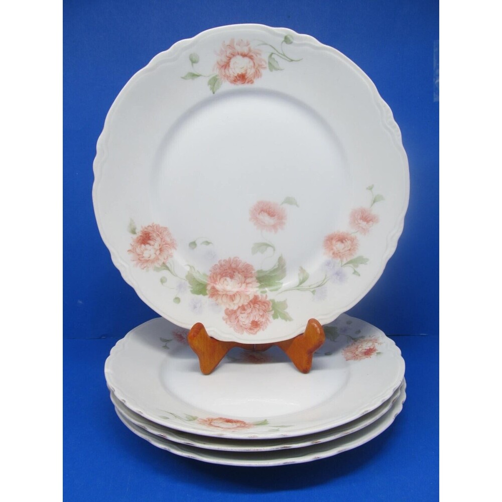 Fraureuth Saxony JHR Facon Limoges 9 3/4" Floral Plates Set of 4